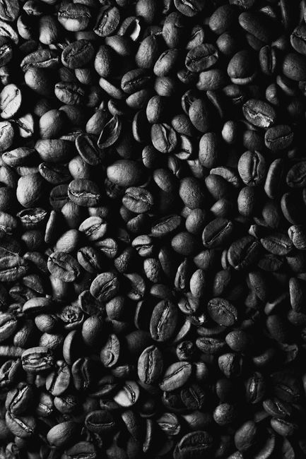 Vietnam Robusta – Království chuti